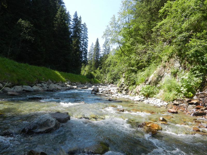 Galtur2012067
