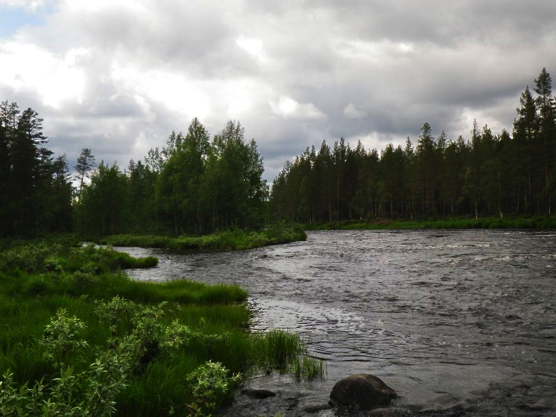R-IMGP0133