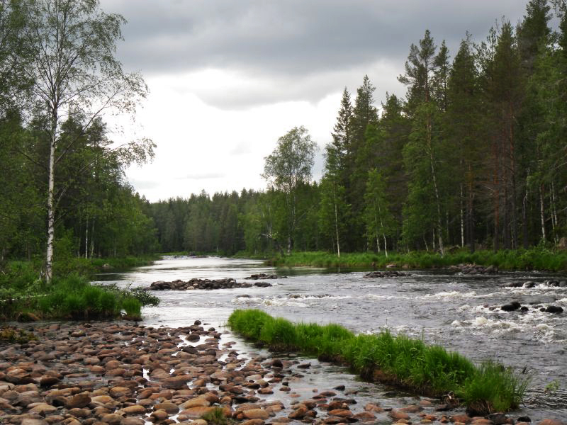 R-IMGP0136