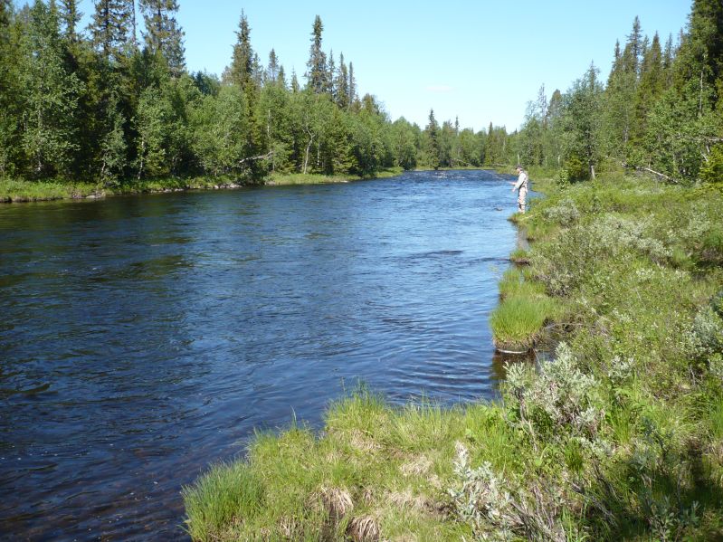 R-P1030522